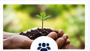 Microfinance